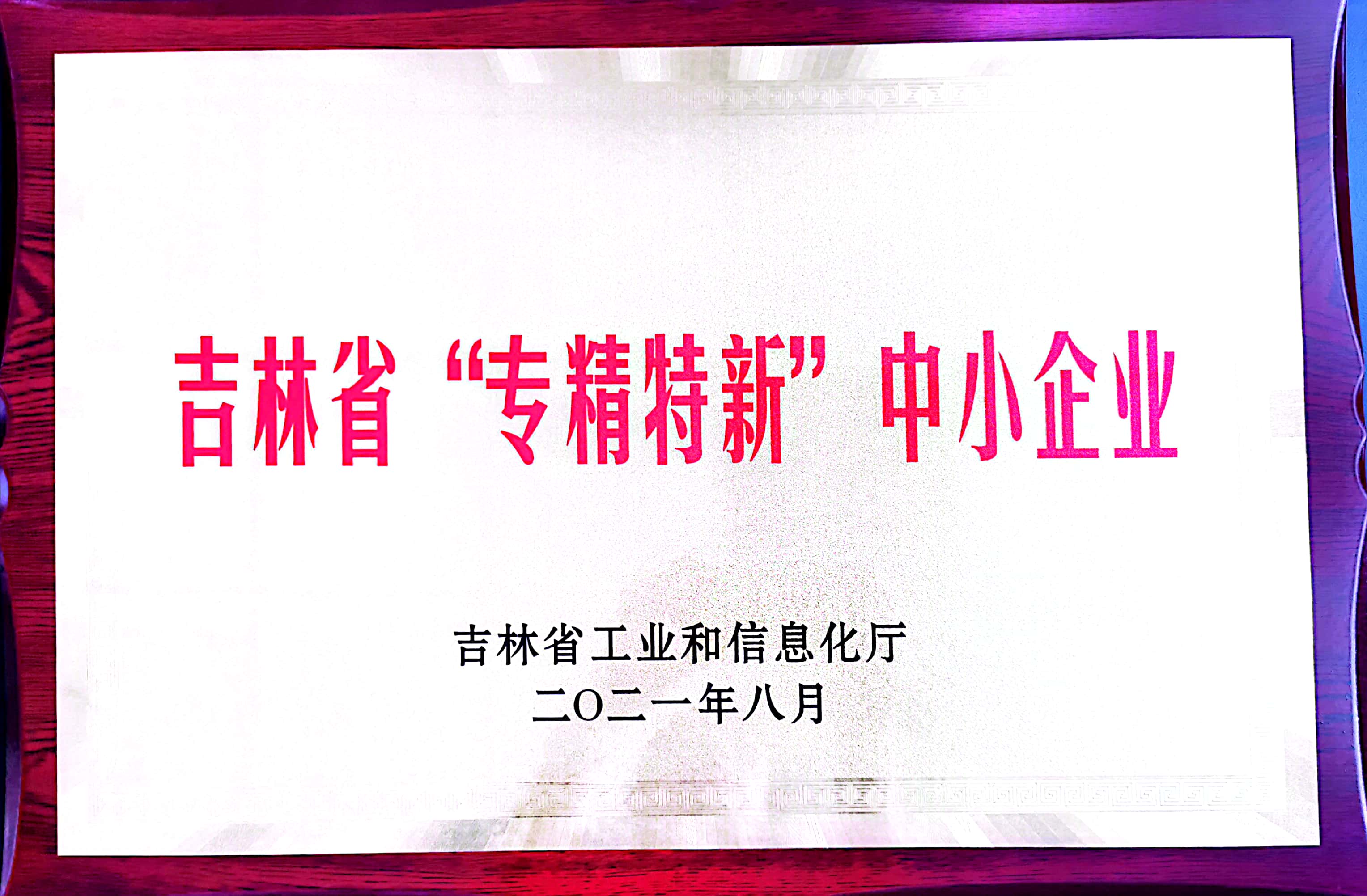 吉林省“專(zhuān)精特新”中小企業(yè)